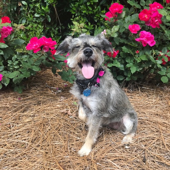 hey there :) - Picture 2 of 8